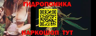 МДПВ Партизанск