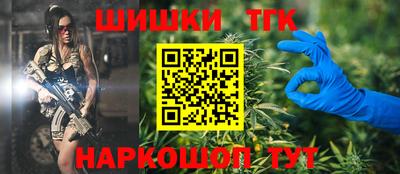 МДПВ Партизанск