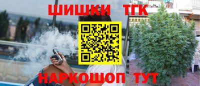 МДПВ Партизанск