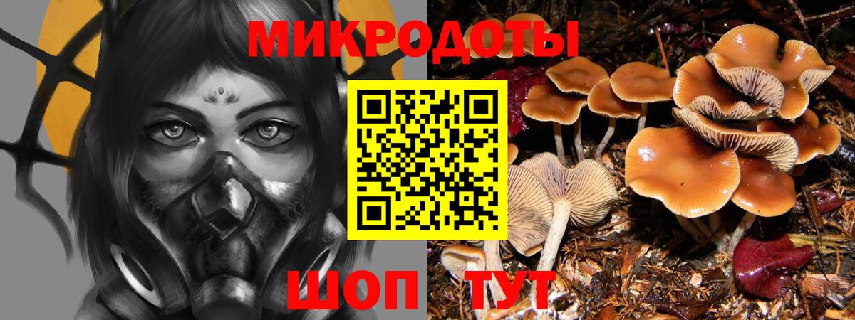 Псилоцибиновые грибы MAGIC MUSHROOMS  Вход с VPN  Печора 