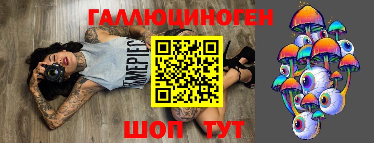 Псилоцибиновые грибы GOLDEN TEACHER Печора